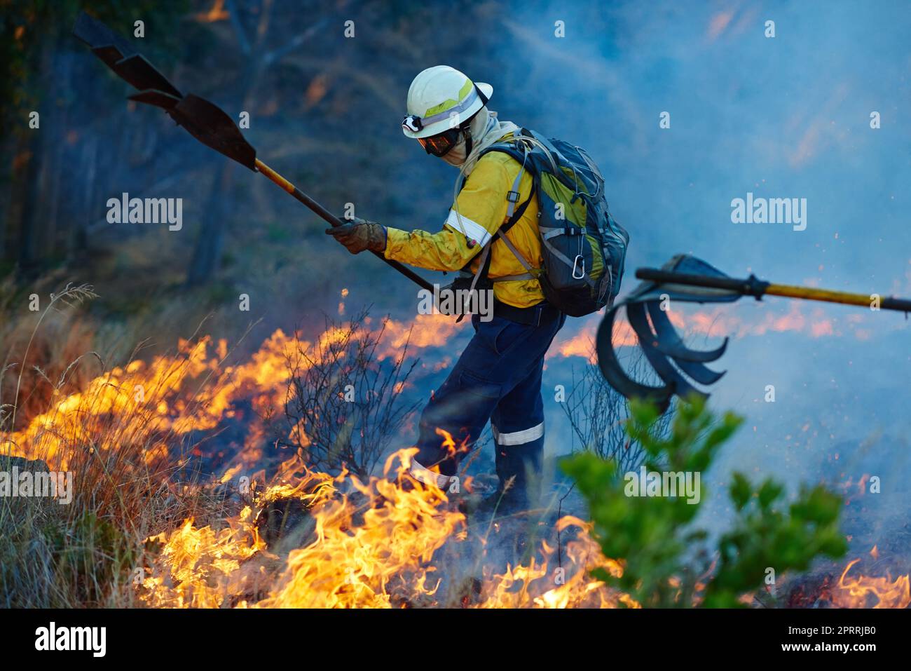 Beating back the fire. fire fighters combating a wild fire. Stock Photo