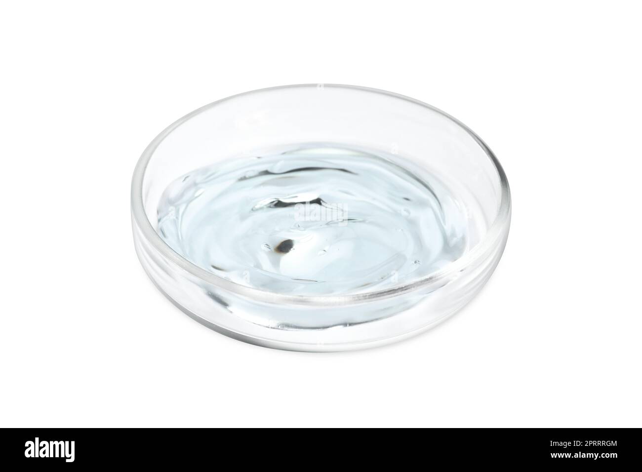 Petri dish with liquid isolated on white Stock Photo - Alamy
