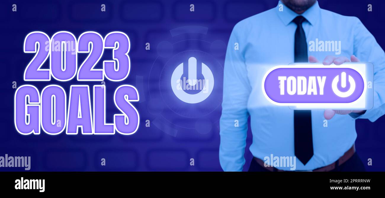 10 GOALS FOR 2023 visual data 2