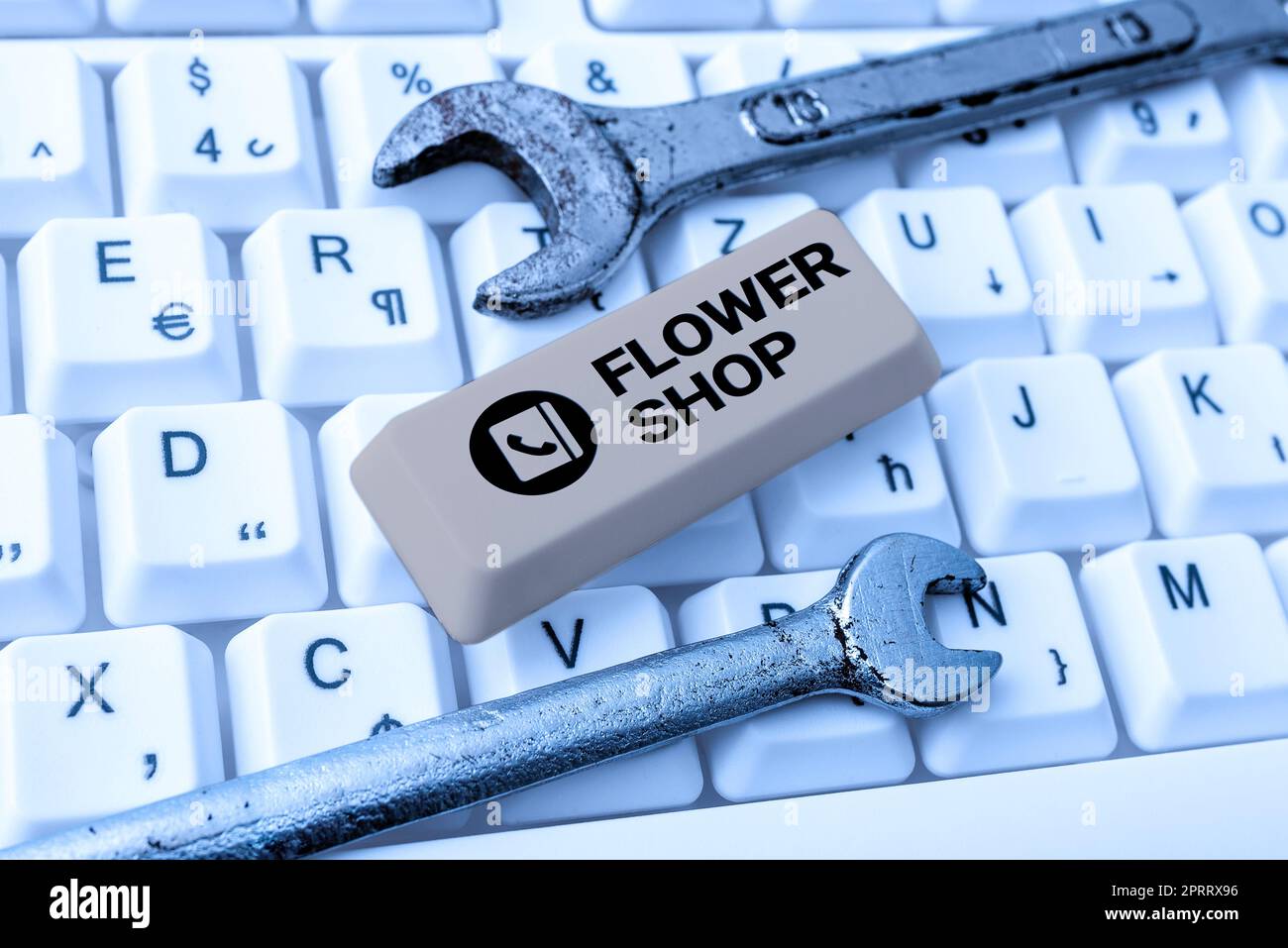 Conceptual caption Flower Shop. Business overview where cut flowers are sold with decorations for gifts Stock Photo