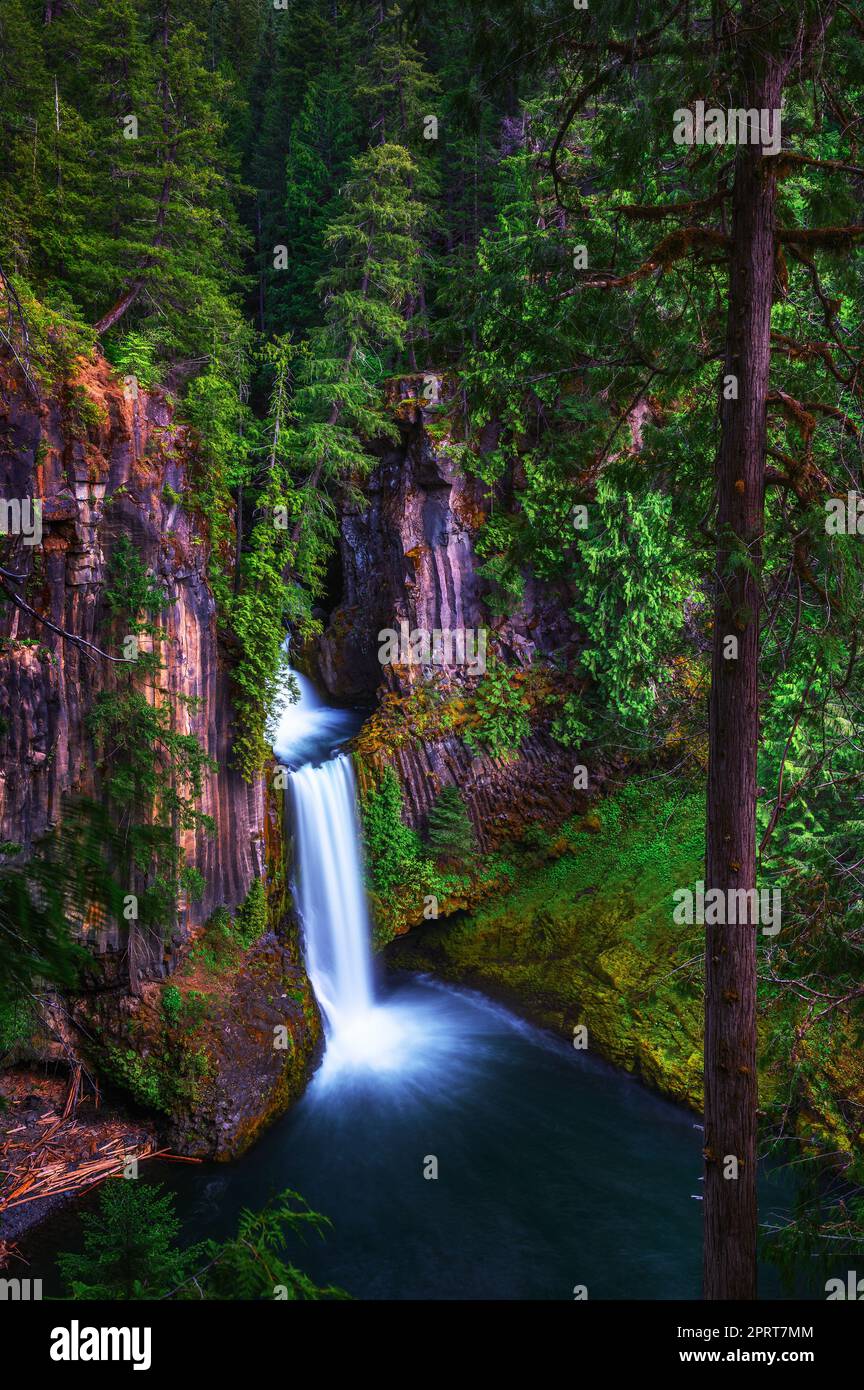 Toketee Falls in Douglas County, Oregon Stock Photo