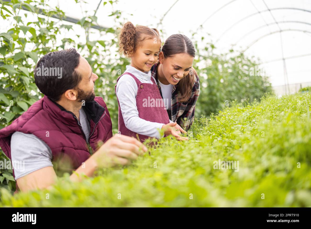 Learning, greenhouse and farming family in garden with child for plants