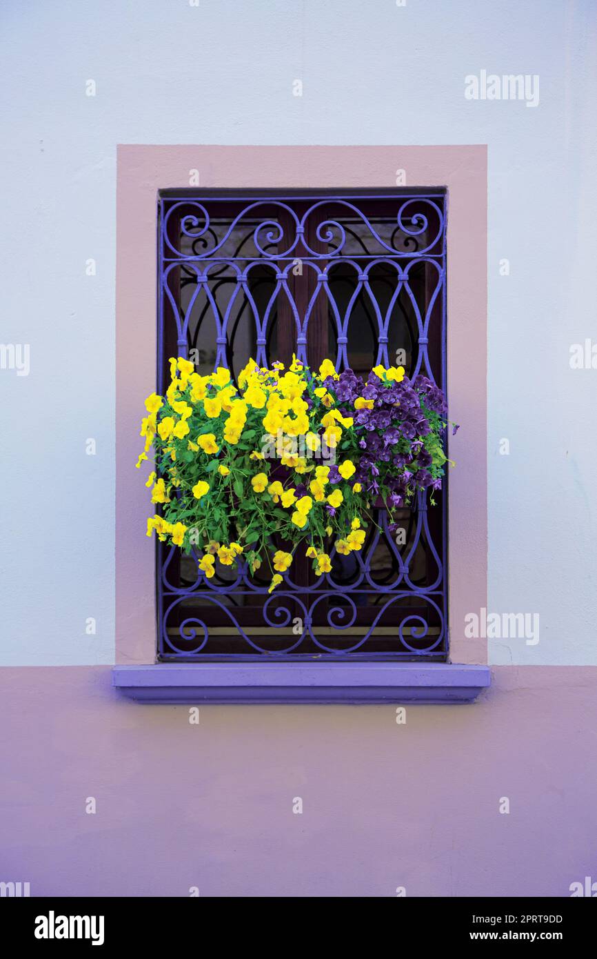 windowsill with flowers Stock Photo Alamy
