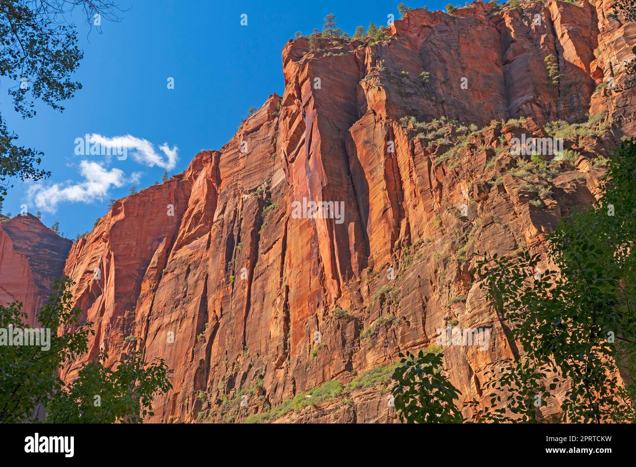 Looming Cliffs in a Deep Canyon Stock Photo