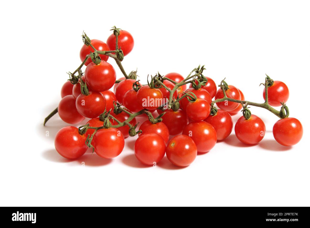 Wild Florida Everglades Cherry Tomatoes Isolated on White Background Stock Photo