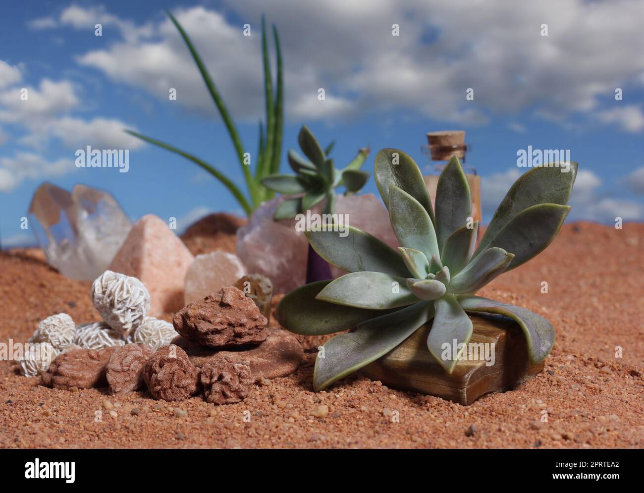 Desert Rose Rocks With Quartz Crystals on Australian Red Sand Stock ...