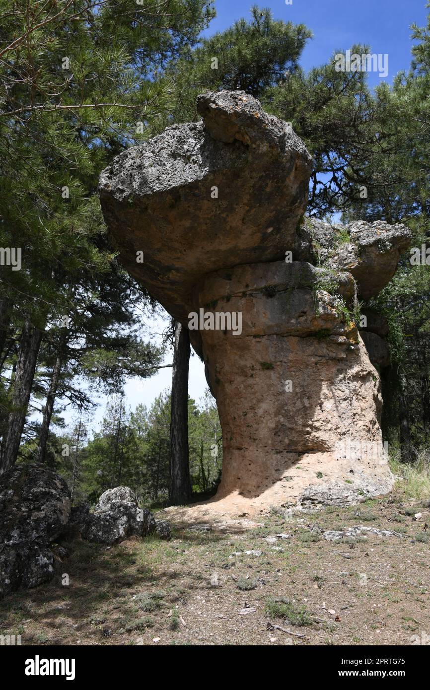 The forest, the trees and the rock formations in the 'Ciudad Encantada', in the heart of the Natural Park of 'Serrania de Cuenca, Cuenca province, Spain, May 12, 2022 Stock Photo