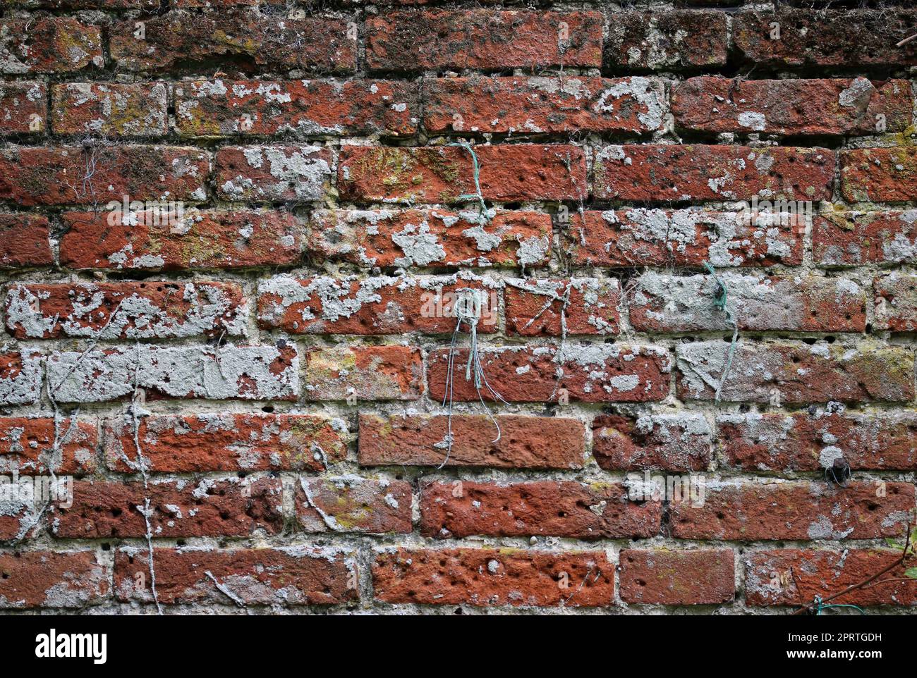Old red brick wall in close up Stock Photo Alamy