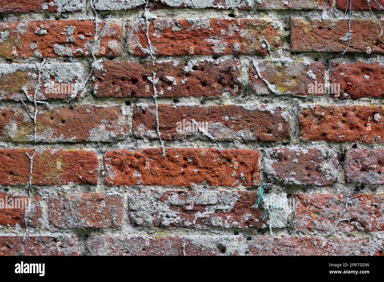 Old red brick wall in close up Stock Photo - Alamy