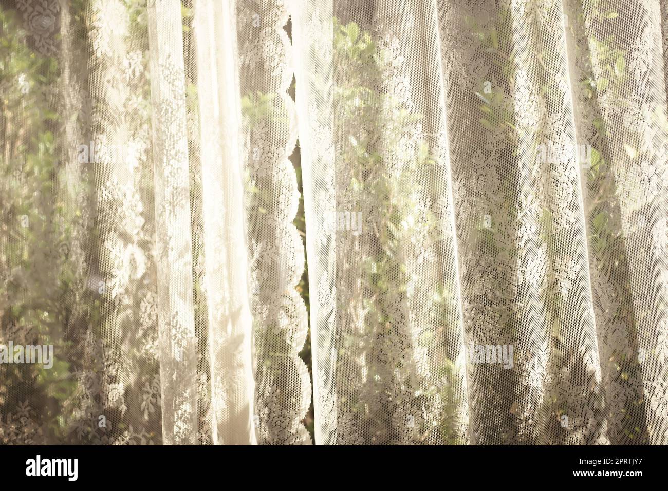 white curtain with window view tree garden background. Stock Photo