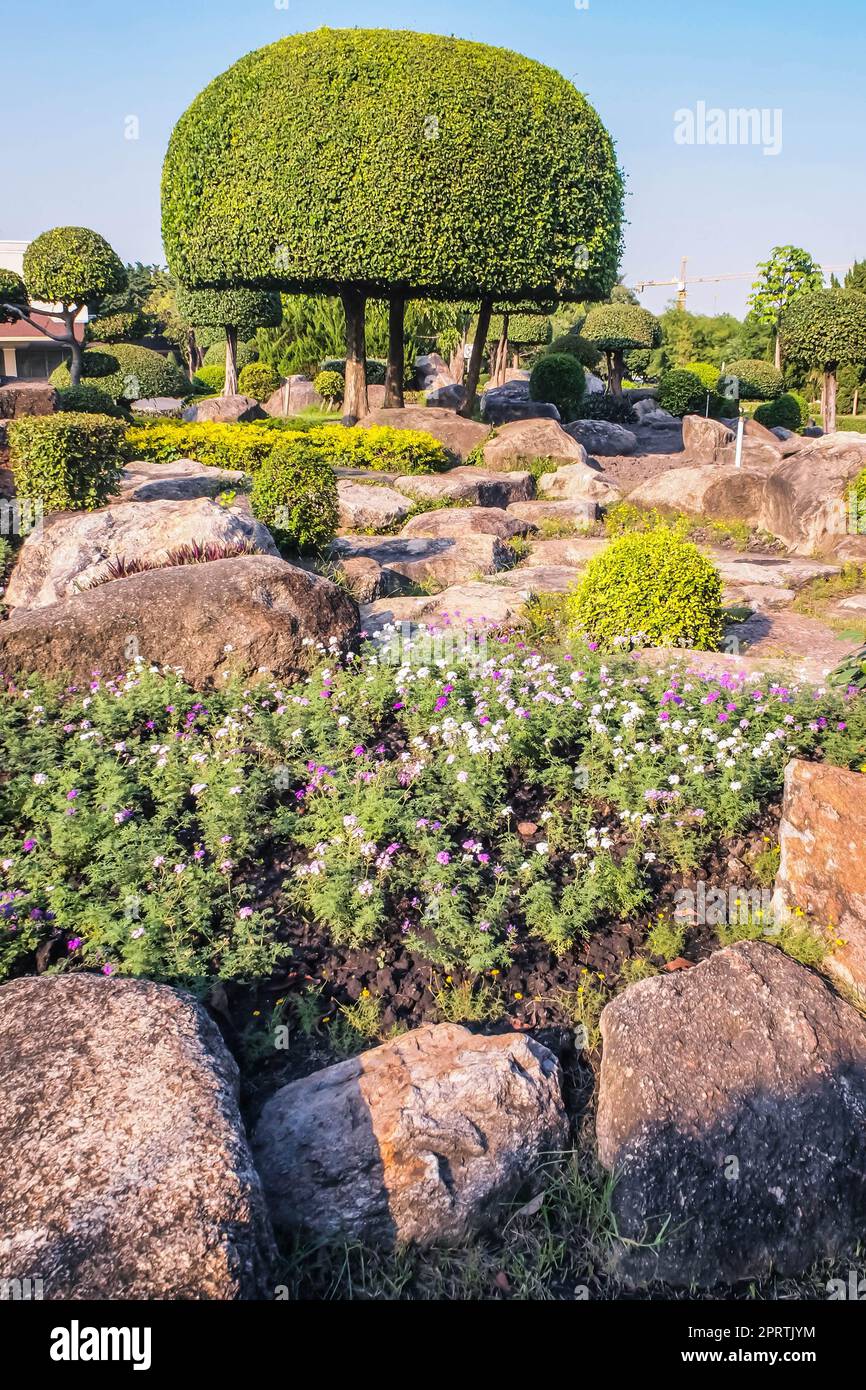 Picturesque Japanese garden.Chinese japanese garden topiary dcoration design shrub form. Stock Photo