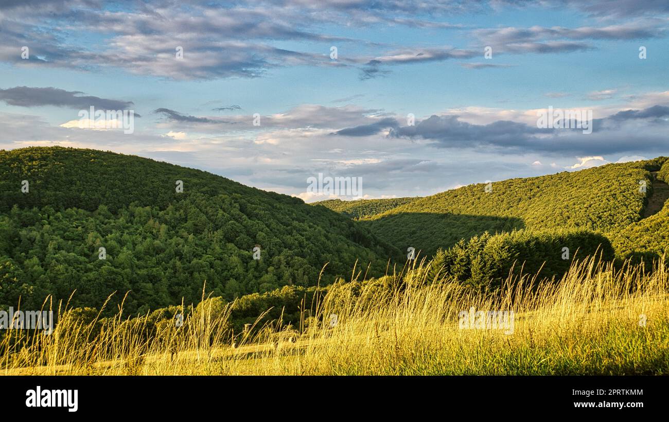 Sunset in Saarland on a meadow with trees and view into the valley. warm atmosphere Stock Photo