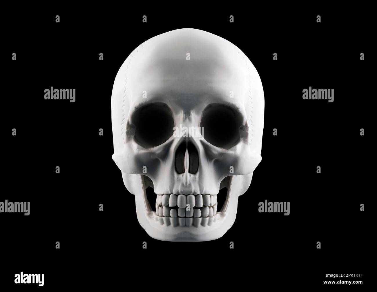 Human skull isolated on black background with clipping path Stock Photo