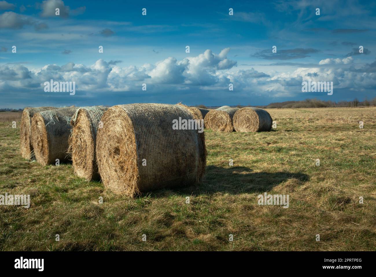 Round hay bales on a meadow and cloudy sky Stock Photo - Alamy
