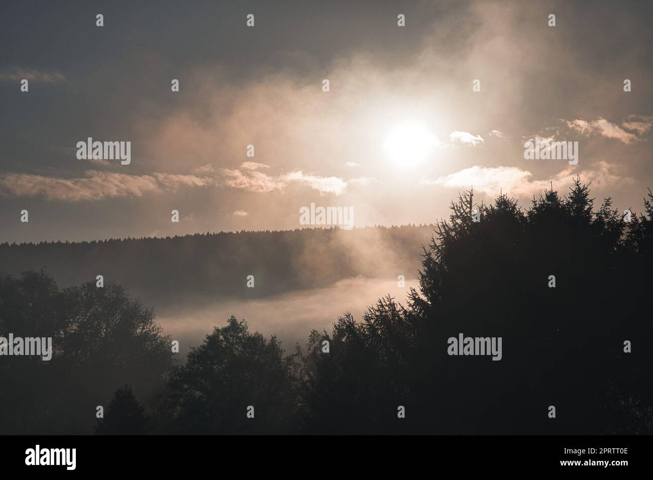 sunrise with fog in the early morning hours. mystical atmosphere Stock Photo