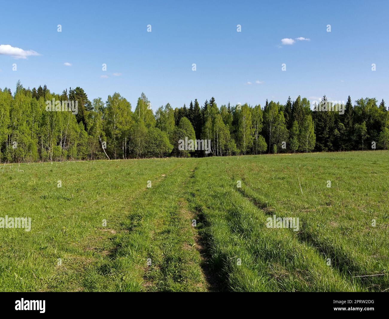 Dirt road on a bright spring day, Russia Stock Photo