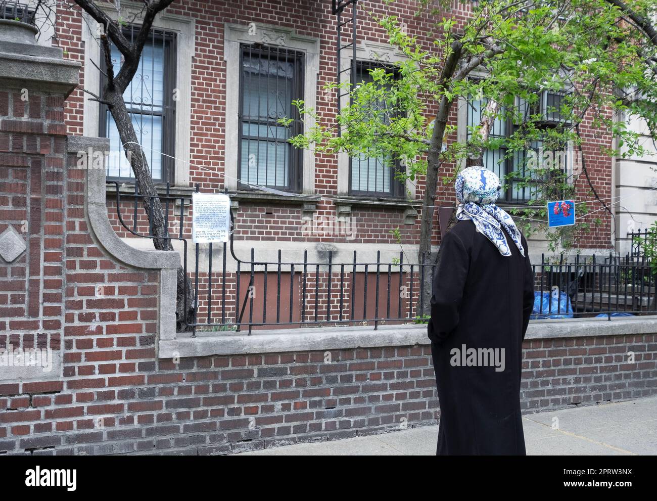 During the Hebrew month of Nissan, a Hasidic Jewish woman makes a blessing for newly budding fruit trees. In Williamsburg, Brooklyn, New York. Stock Photo