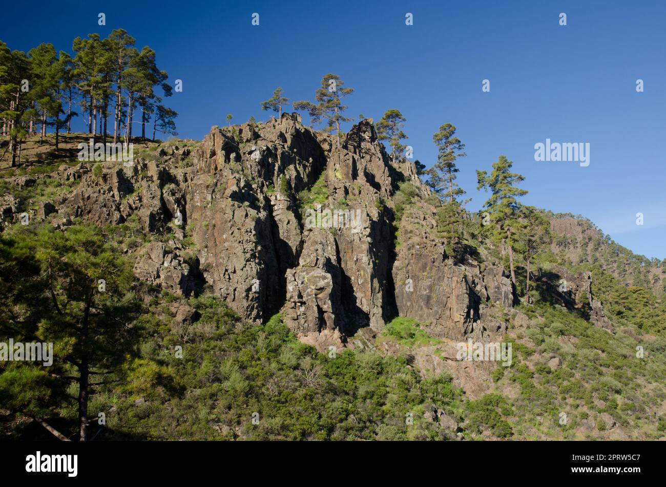 Cliff in the Integral Natural Reserve of Inagua. Stock Photo