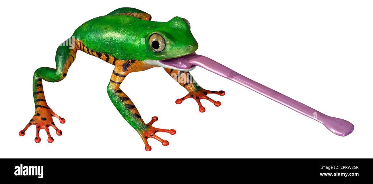 Frog tongue Cut Out Stock Images & Pictures - Page 2 - Alamy