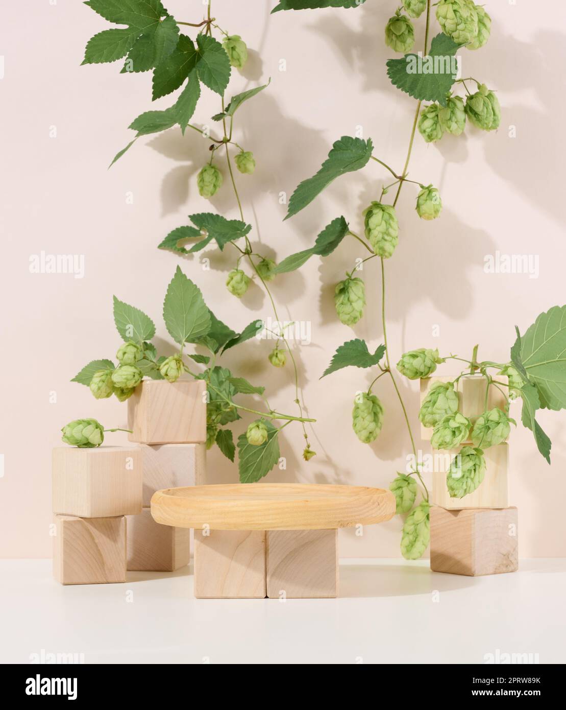 Podium from wooden cubes and a branch with green leaves. Stage for the ...
