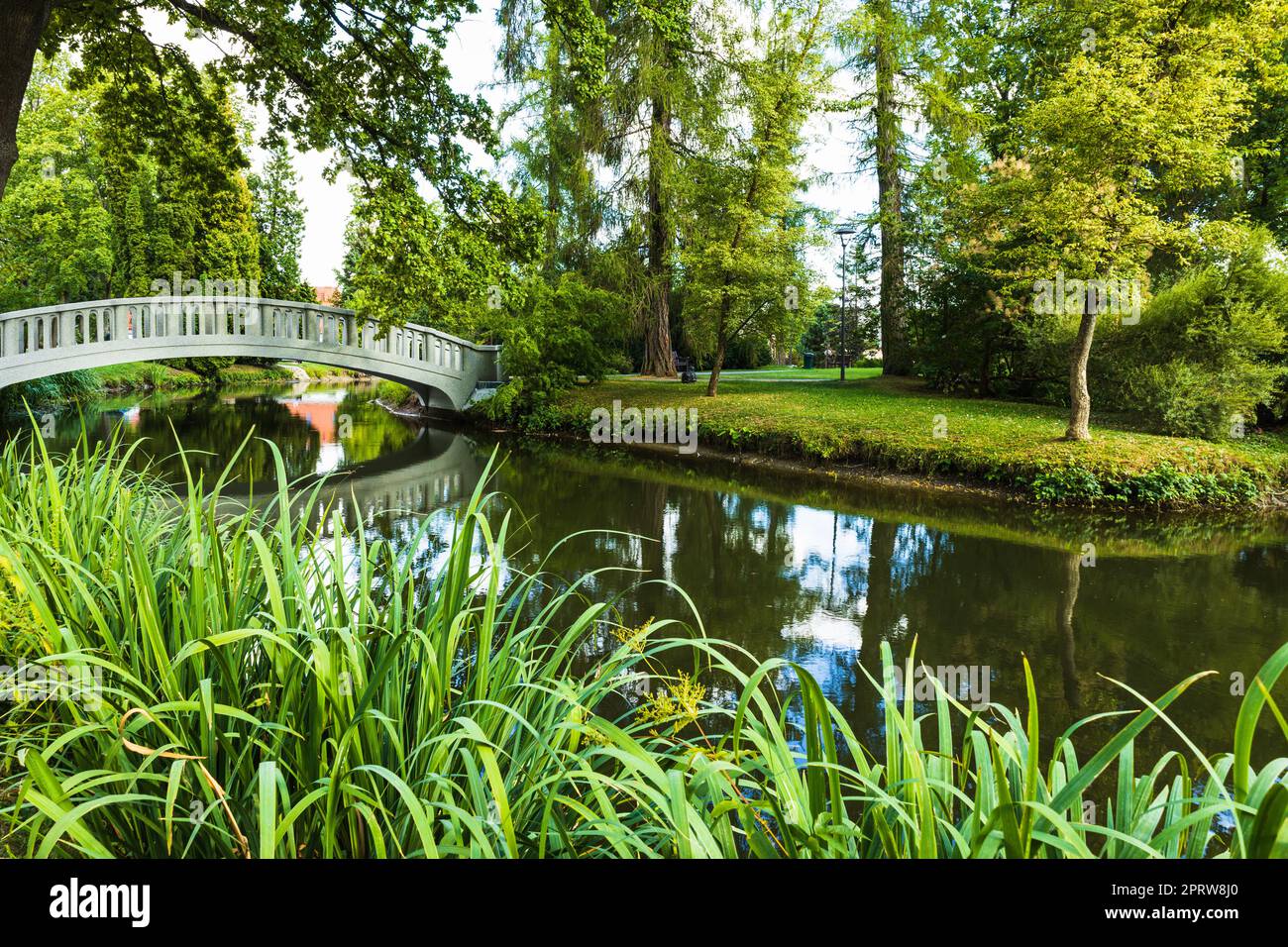 Park nature pond trees green hi-res stock photography and images - Alamy