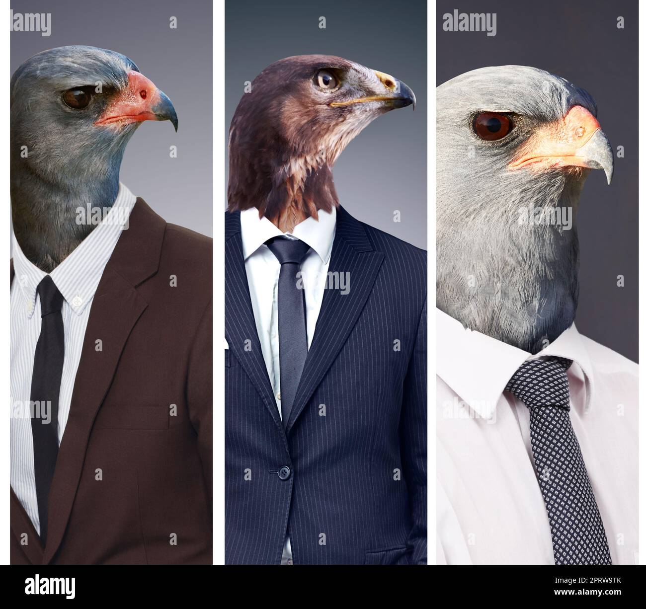 Birds of a feather flock together. Conceptual image of animal heads on business people Stock