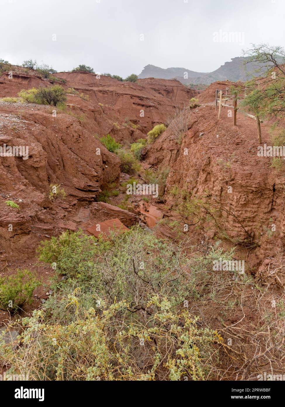 Dry Wash Arroyo
