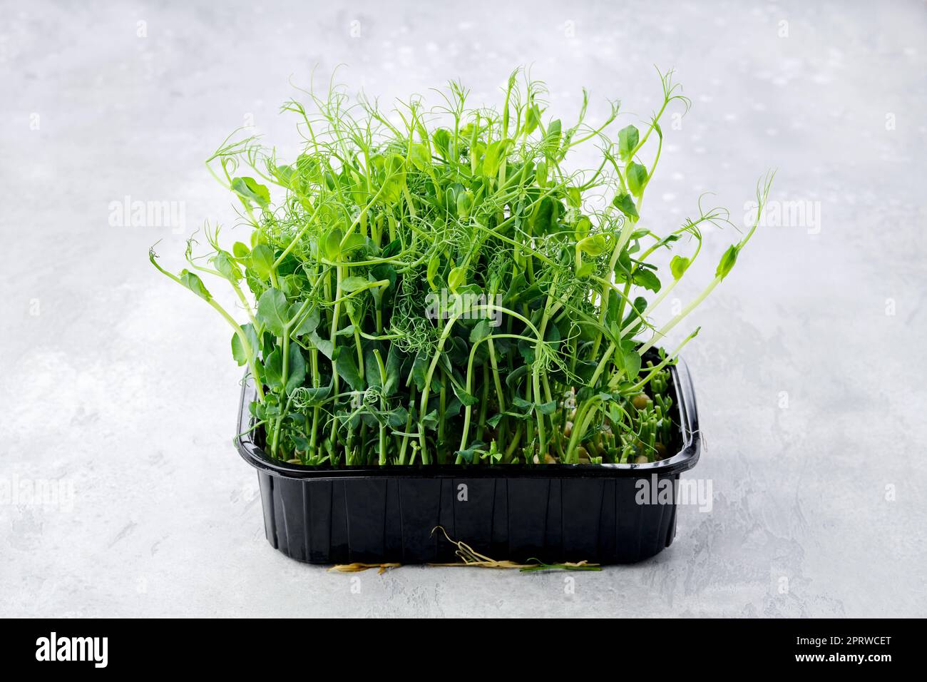 Fresh sprouted peas in plastic container Stock Photo