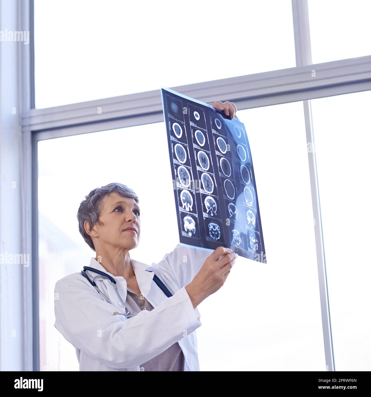 Insights into the human brain. a female doctor studying x-rays. Stock Photo