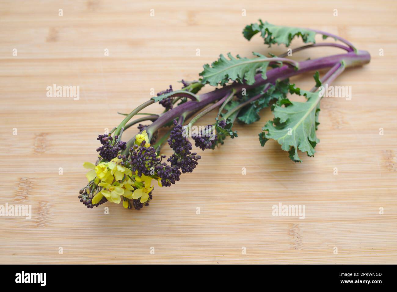 Yellow flowers on Purple sprouting broccoli Stock Photo