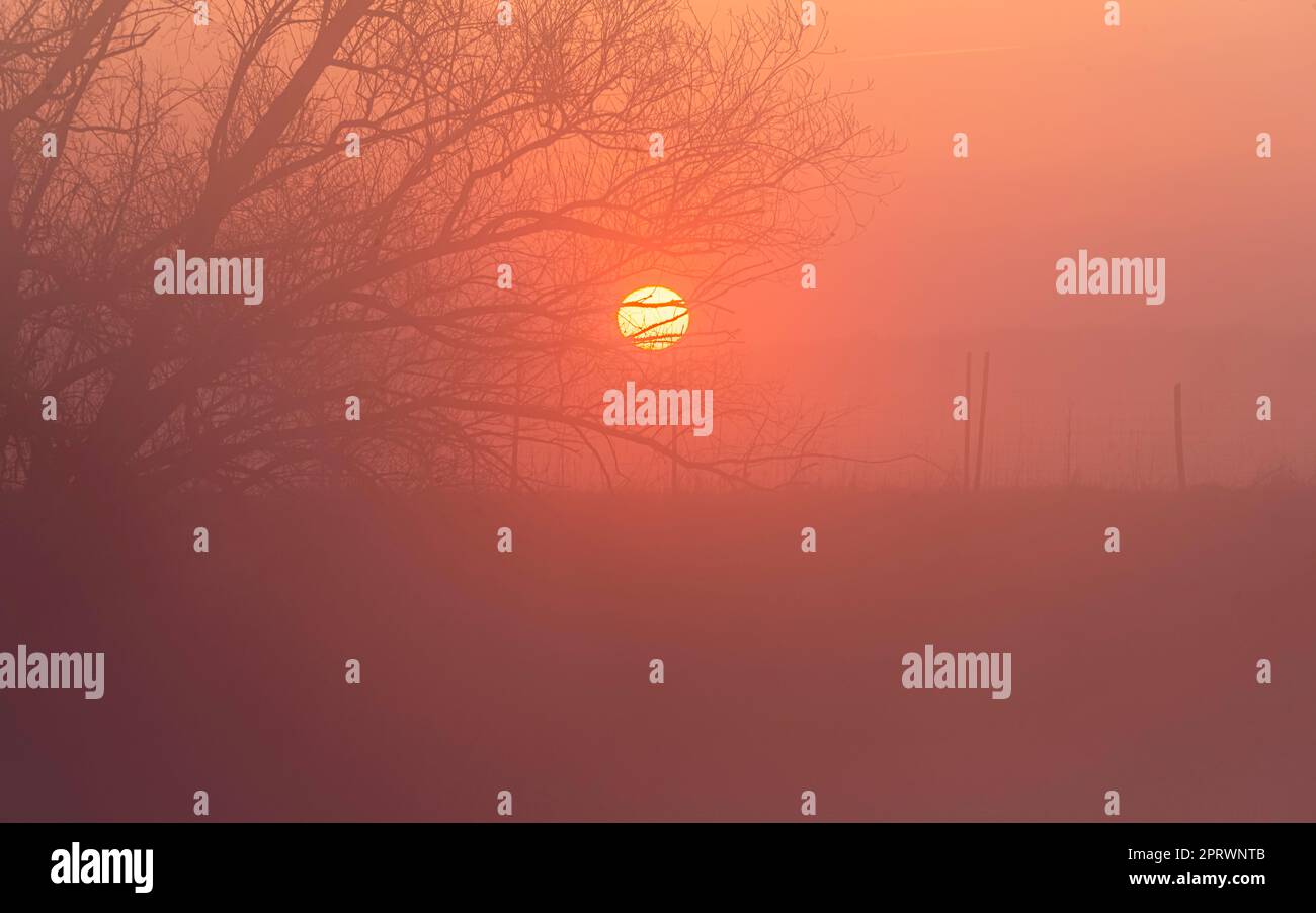 Goldener Sonnenaufgang mit Nebel am Fluss im März Stock Photo