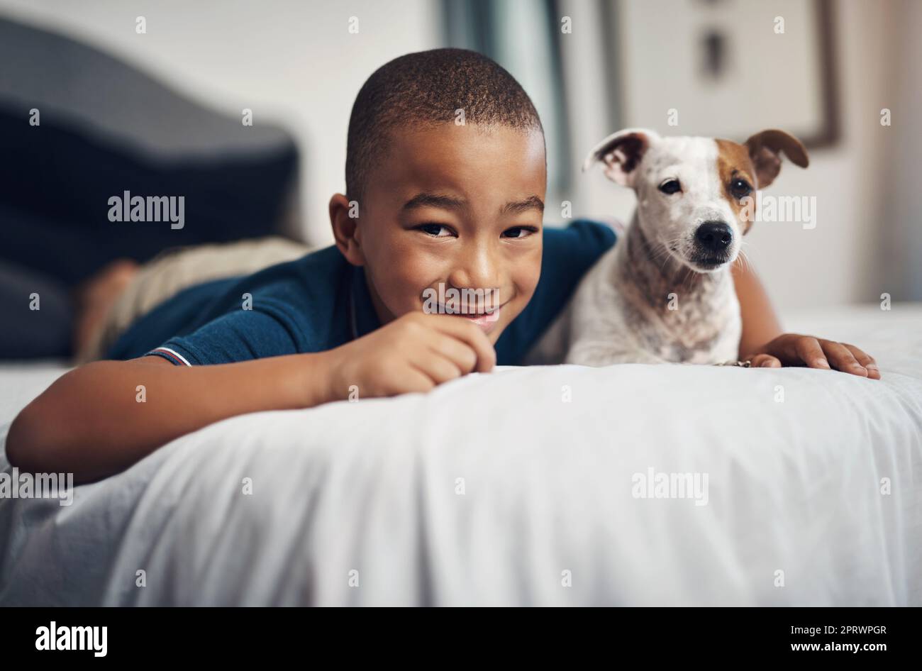 My four legged friend is my best friend. an adorable little boy playing with his pet dog on the bed at home. Stock Photo