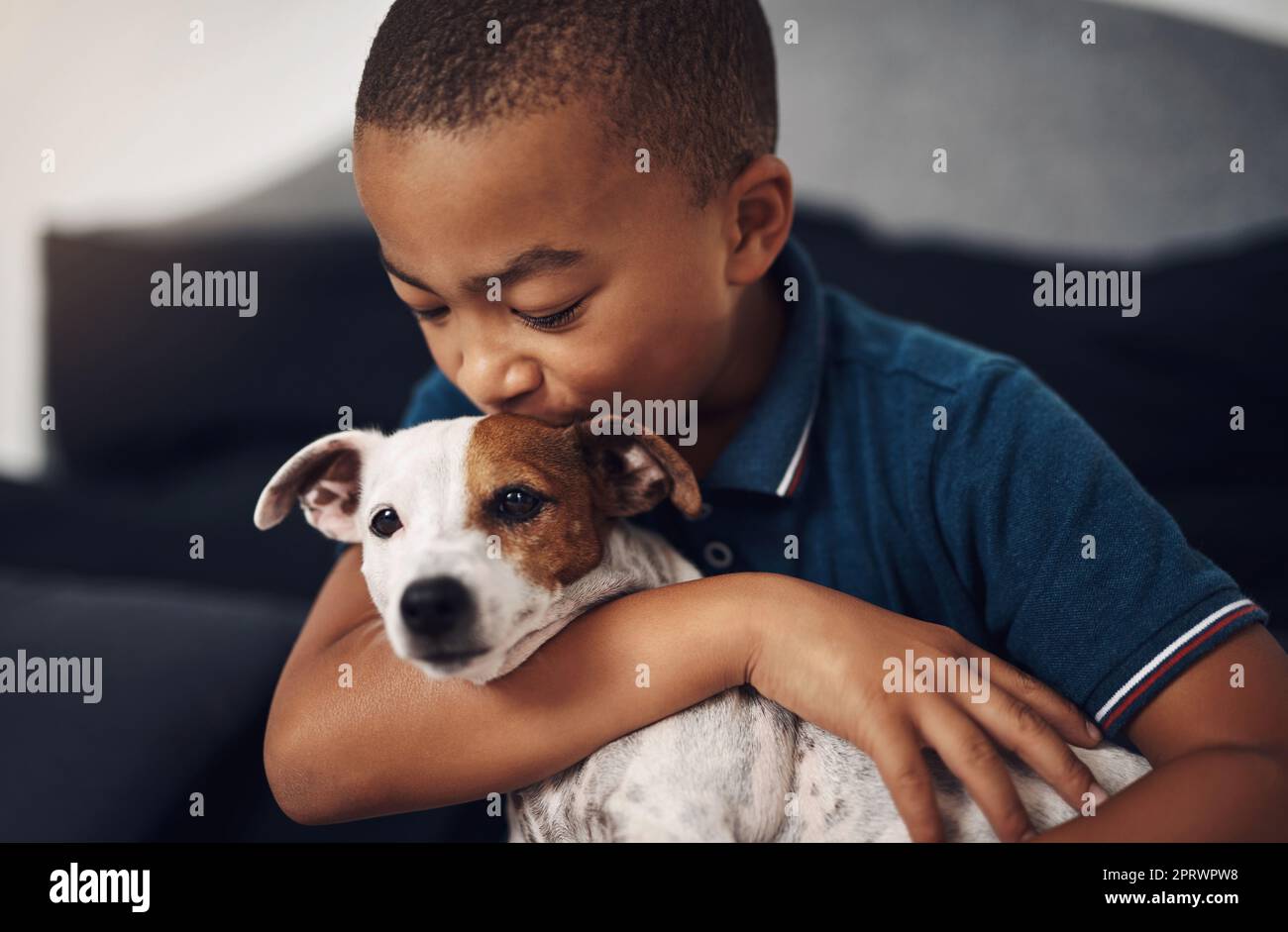 Asked for a brother, got a best friend instead. an adorable little boy playing with his pet dog on the bed at home. Stock Photo