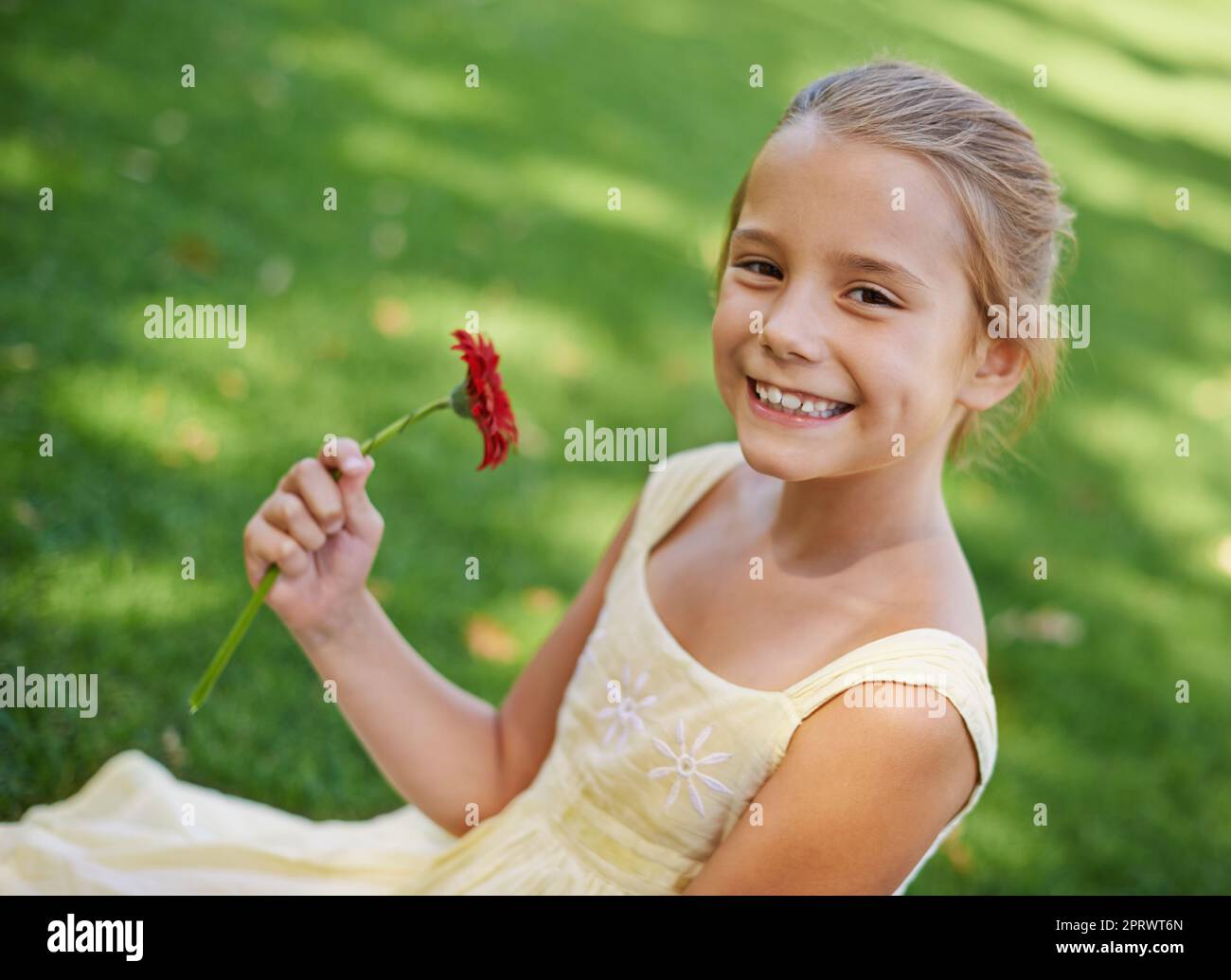 A beautiful flower for a beautiful girl. A portrait of a beautiful little girl holding sitting outside on the grass with a beautiful red flower. Stock Photo
