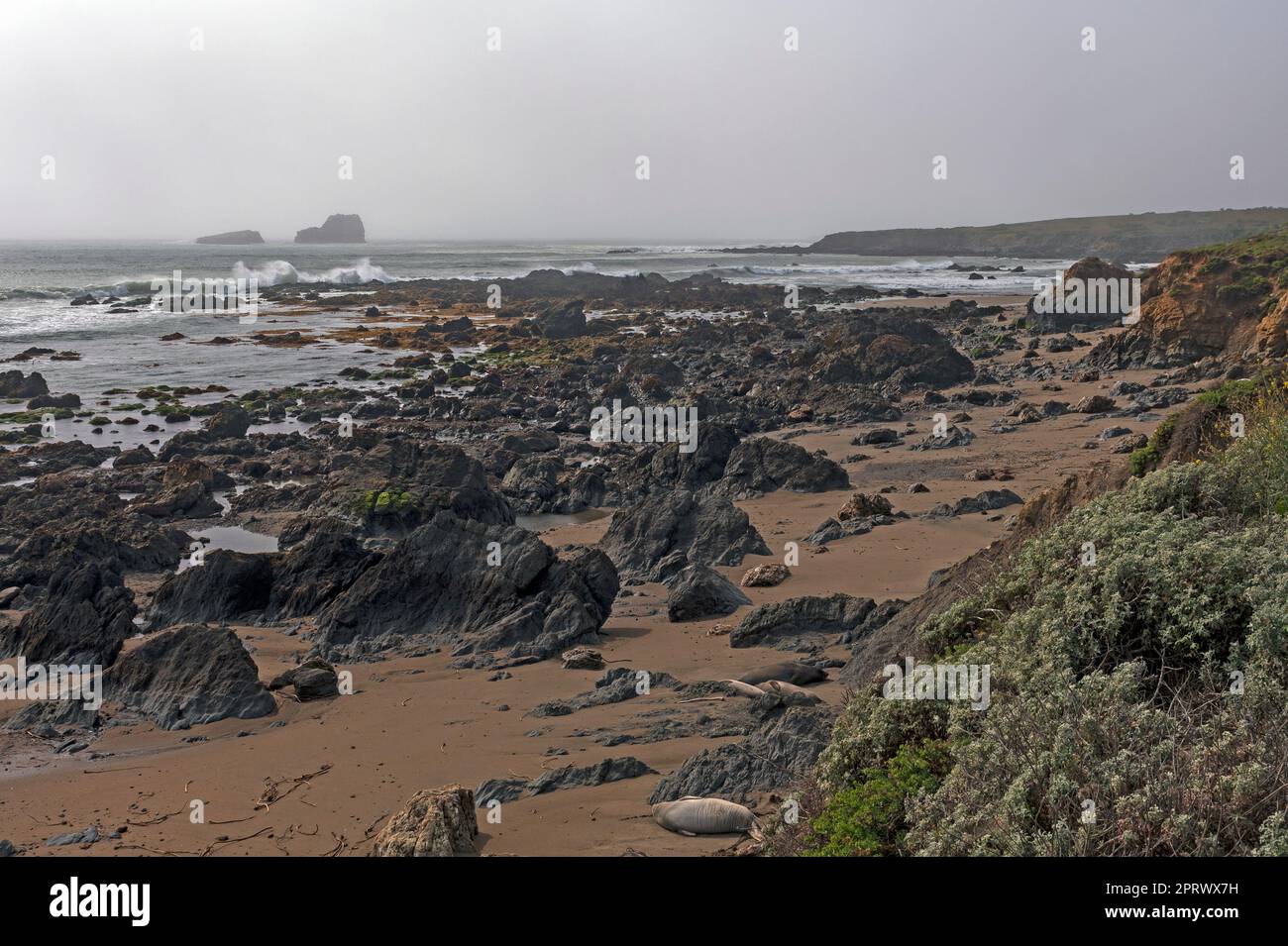 Rocky Elephant Seal Habitat on the Coast Along the Big Sur Highway in