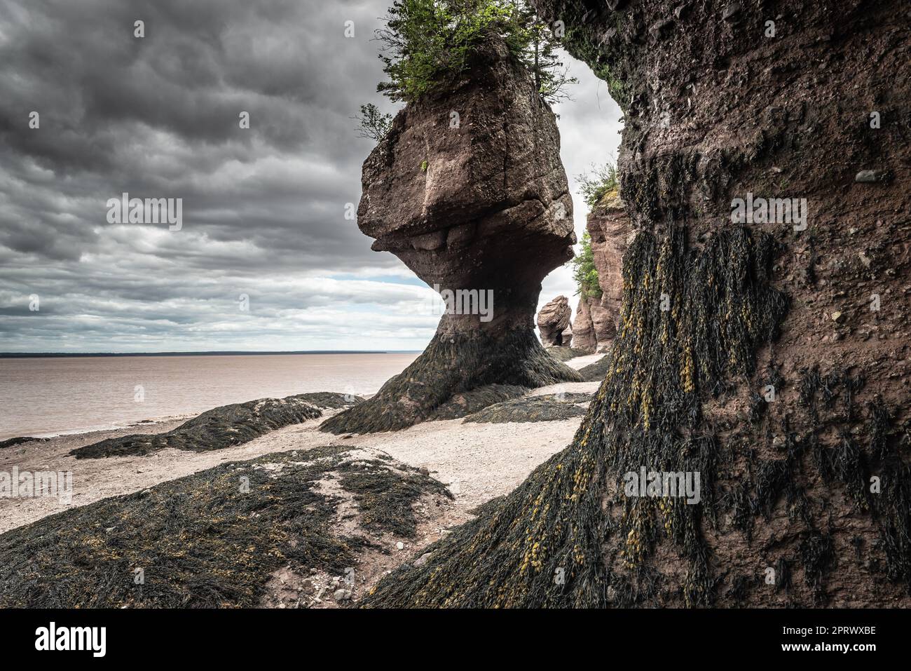 Bay of Fundy Hopewell Rocks Low Tide Stock Photo Alamy