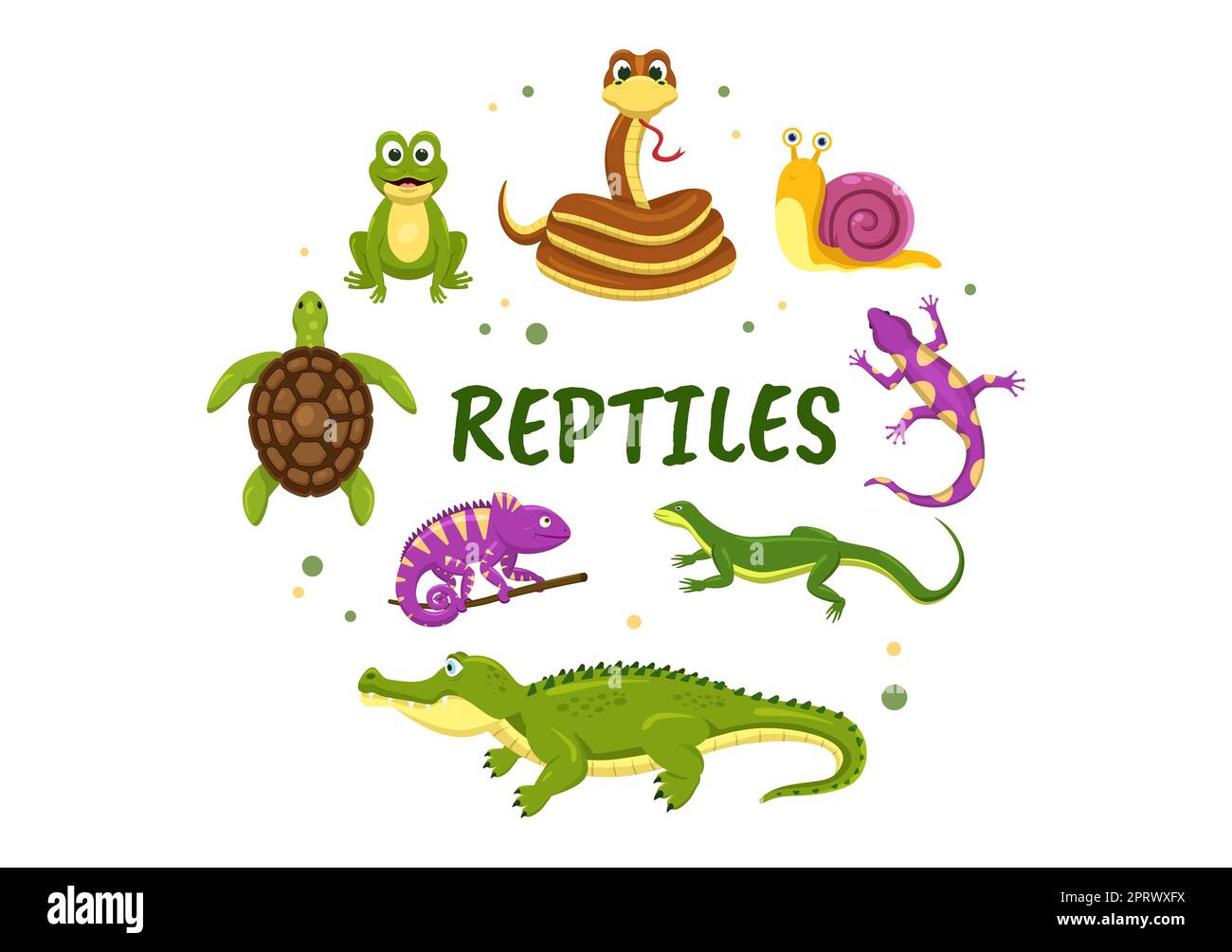 Set of Animal Reptile Template Hand Drawn Cartoon Flat Illustration