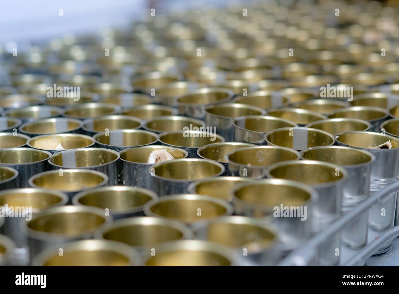 Canned fish factory. Food industry.  Many can of sardines on a conveyor belt. Sardines in red tomato sauce in tinned cans at food factory. Food processing production line. Food manufacturing industry. Stock Photo