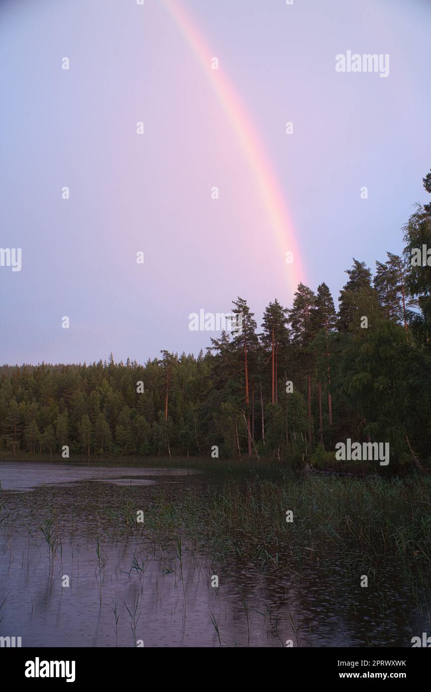Rainbow reflected in the lake when it rains. in the background forest Stock Photo