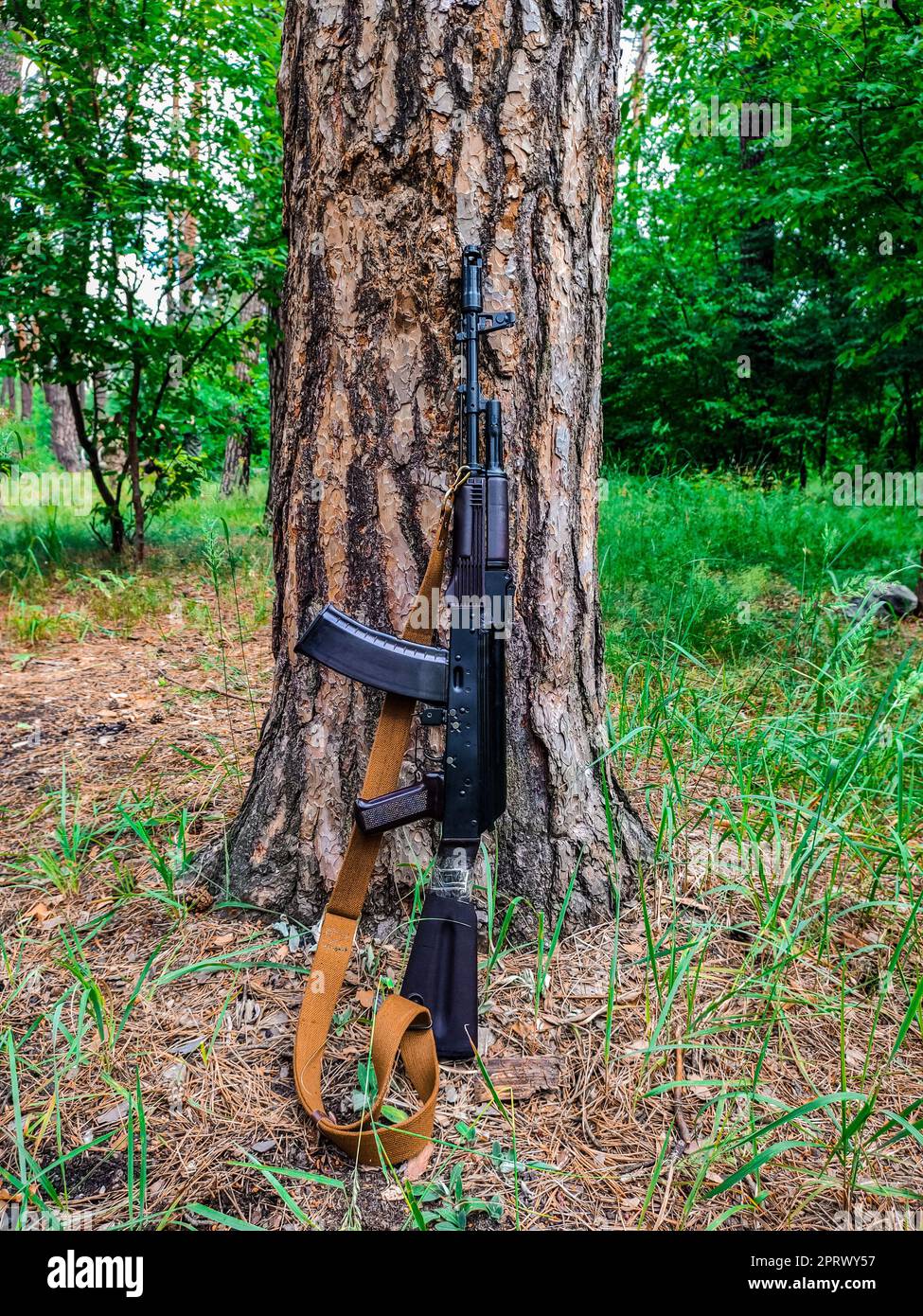 Small arms automatic weapon Kalashnikov. Stock Photo