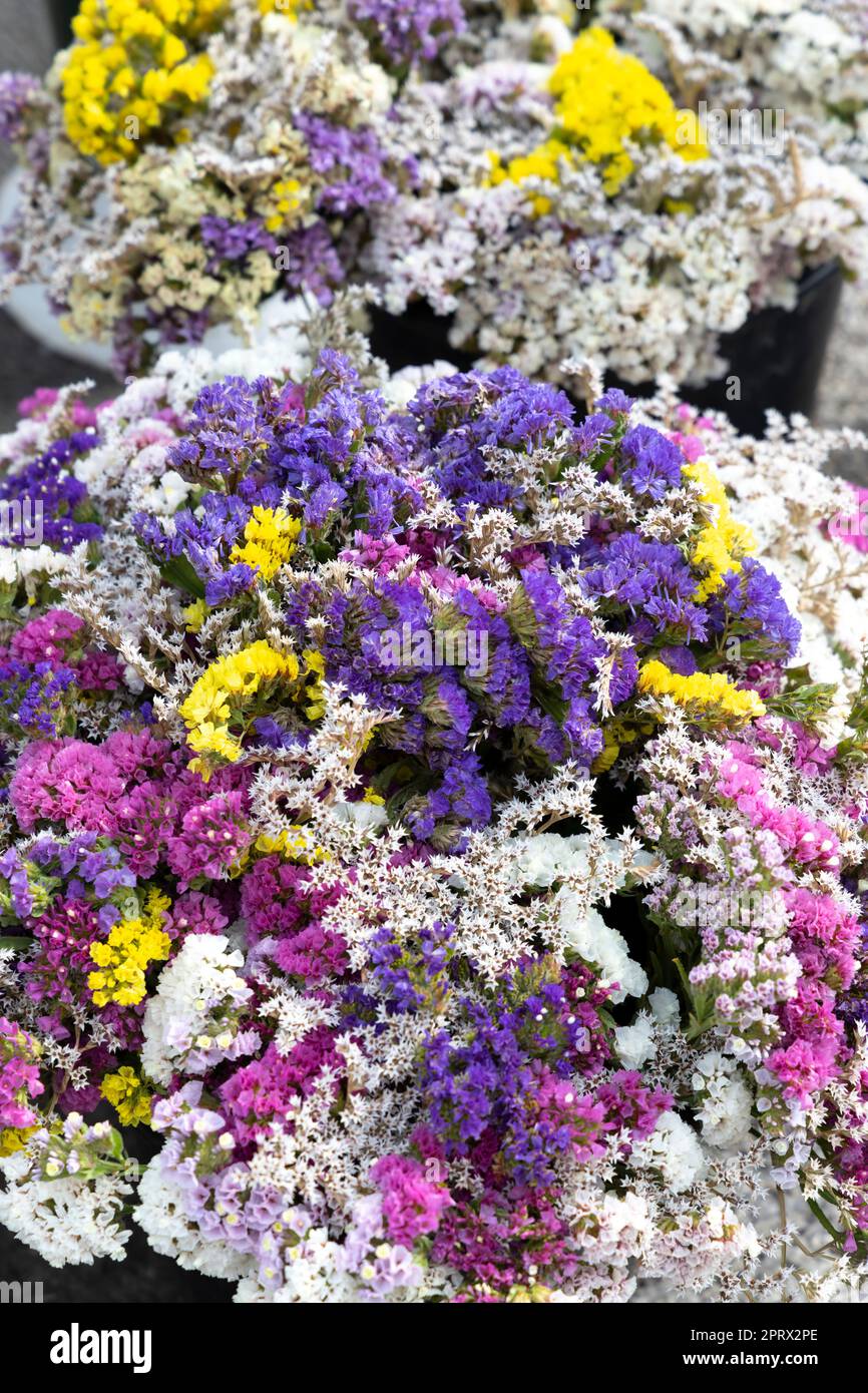 Bouquet dry flowers hi-res stock photography and images - Alamy