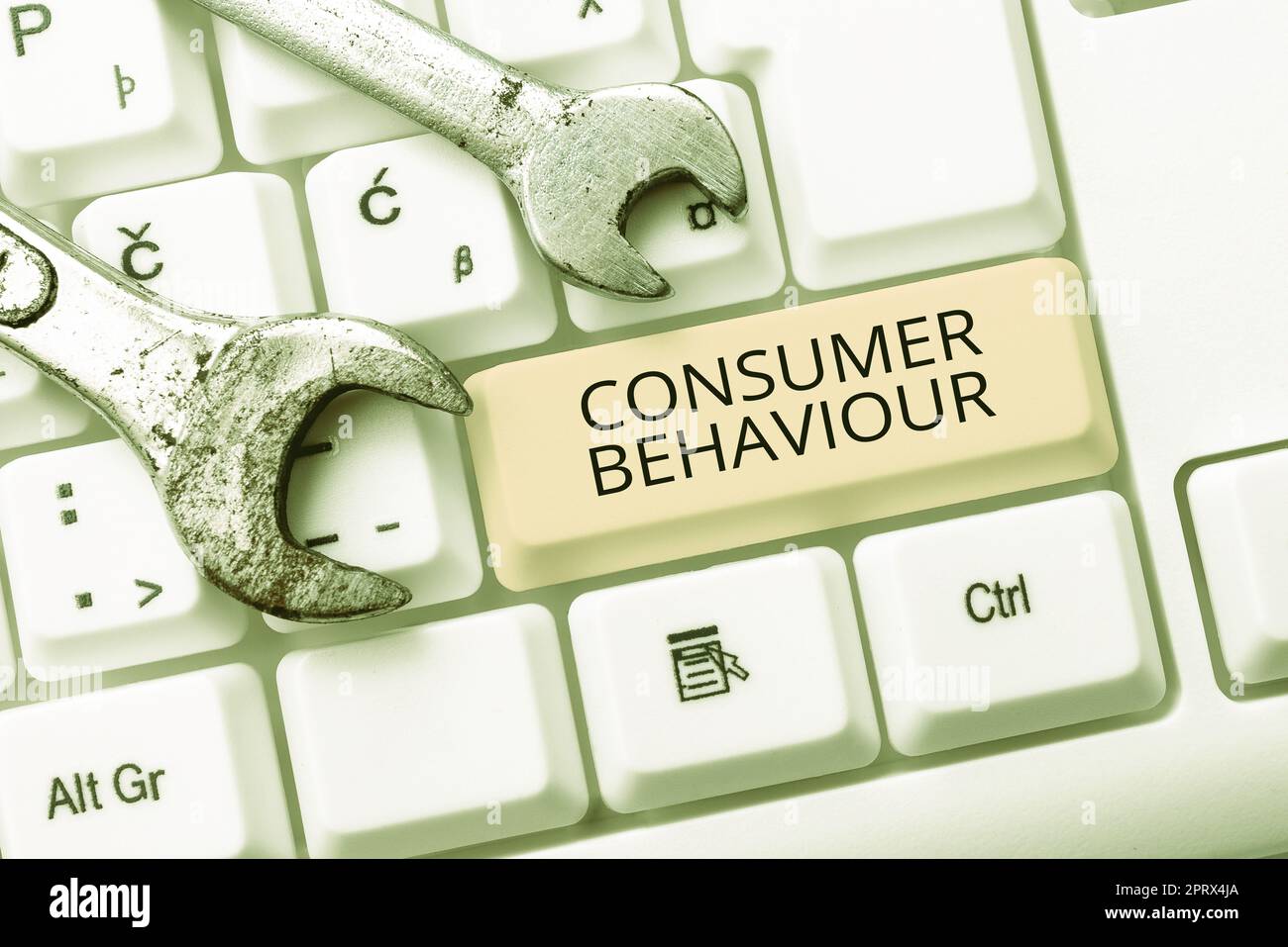 Writing displaying text Consumer BehaviourDecisions that people make to buy or not to buy a product. Internet Concept Decisions that showing make to buy or not to buy a product Stock Photo