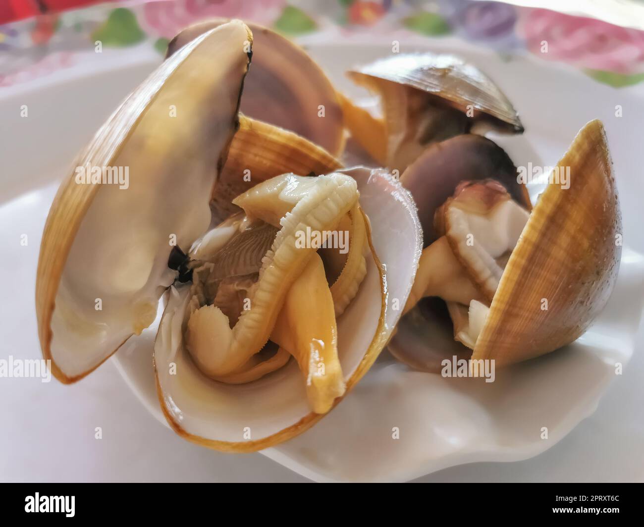 Detailed view of a giant clam, used in typical Angolan cuisine and called kiteta or quiteta... Stock Photo