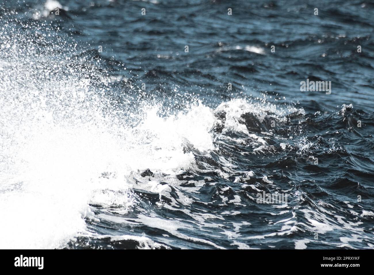Splashing in sea hi-res stock photography and images - Alamy