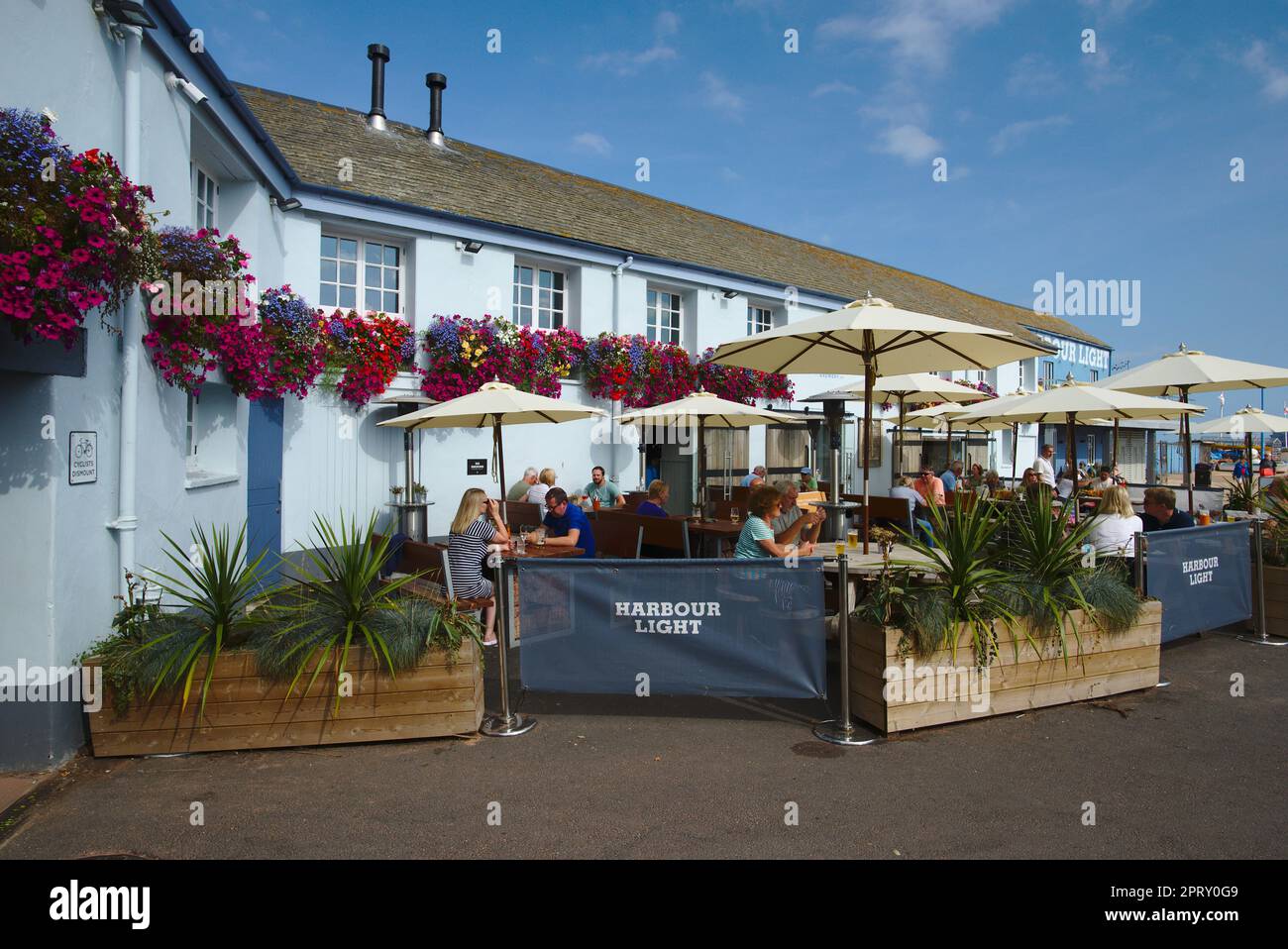 Harbour Light pub, Paignton, Devon, UK Stock Photo Alamy