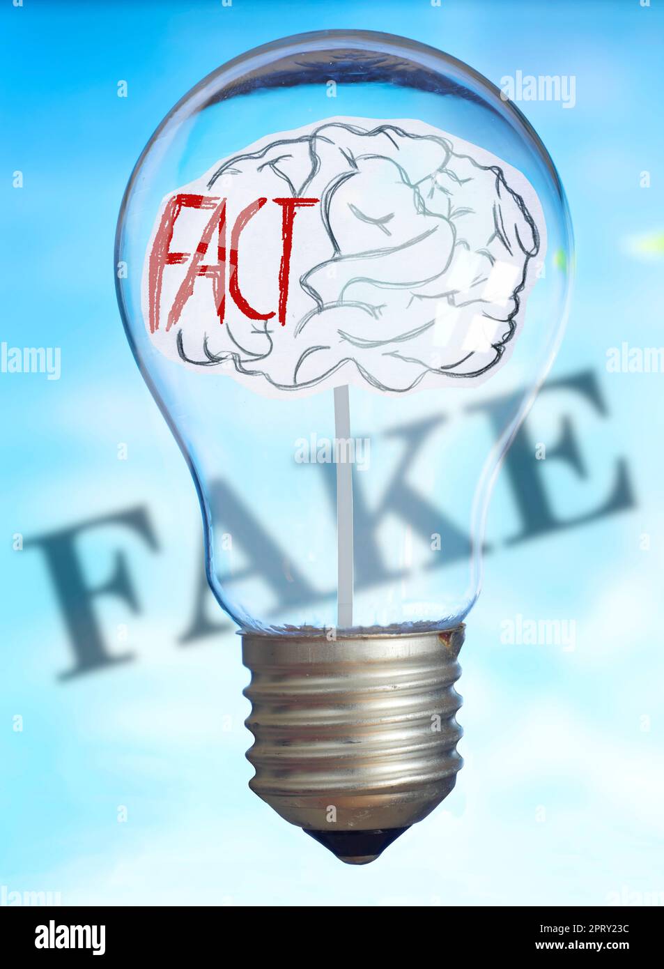 fake news concept with human brain inside of Light bulb and blurred