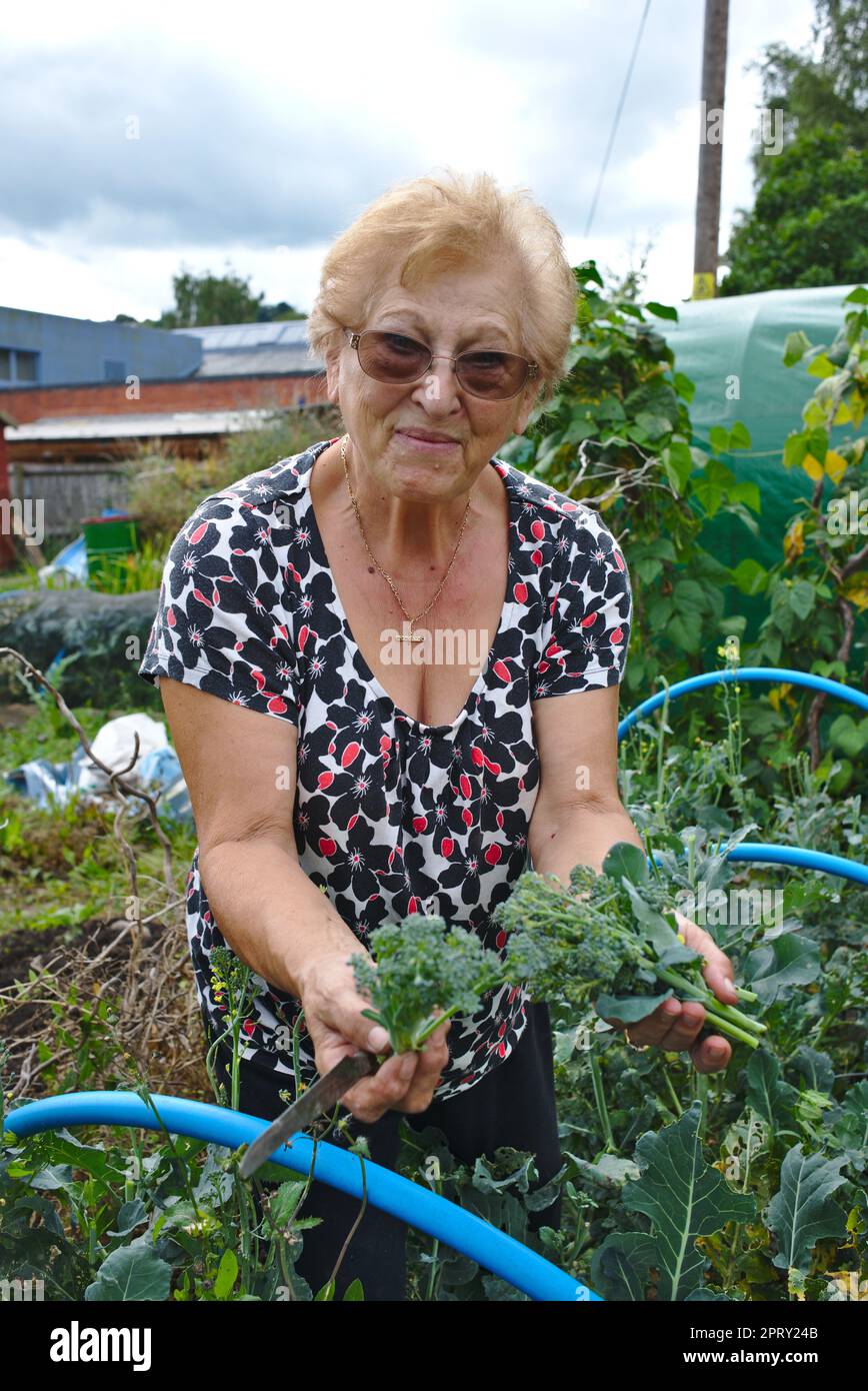 A happy healthy retired woman growing food at her allotment Stock Photo