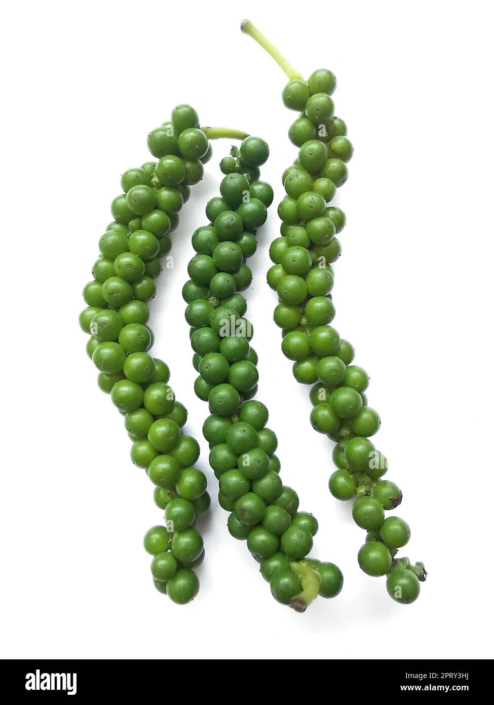 fresh green peppercorns with isolated on a white background Stock Photo Alamy