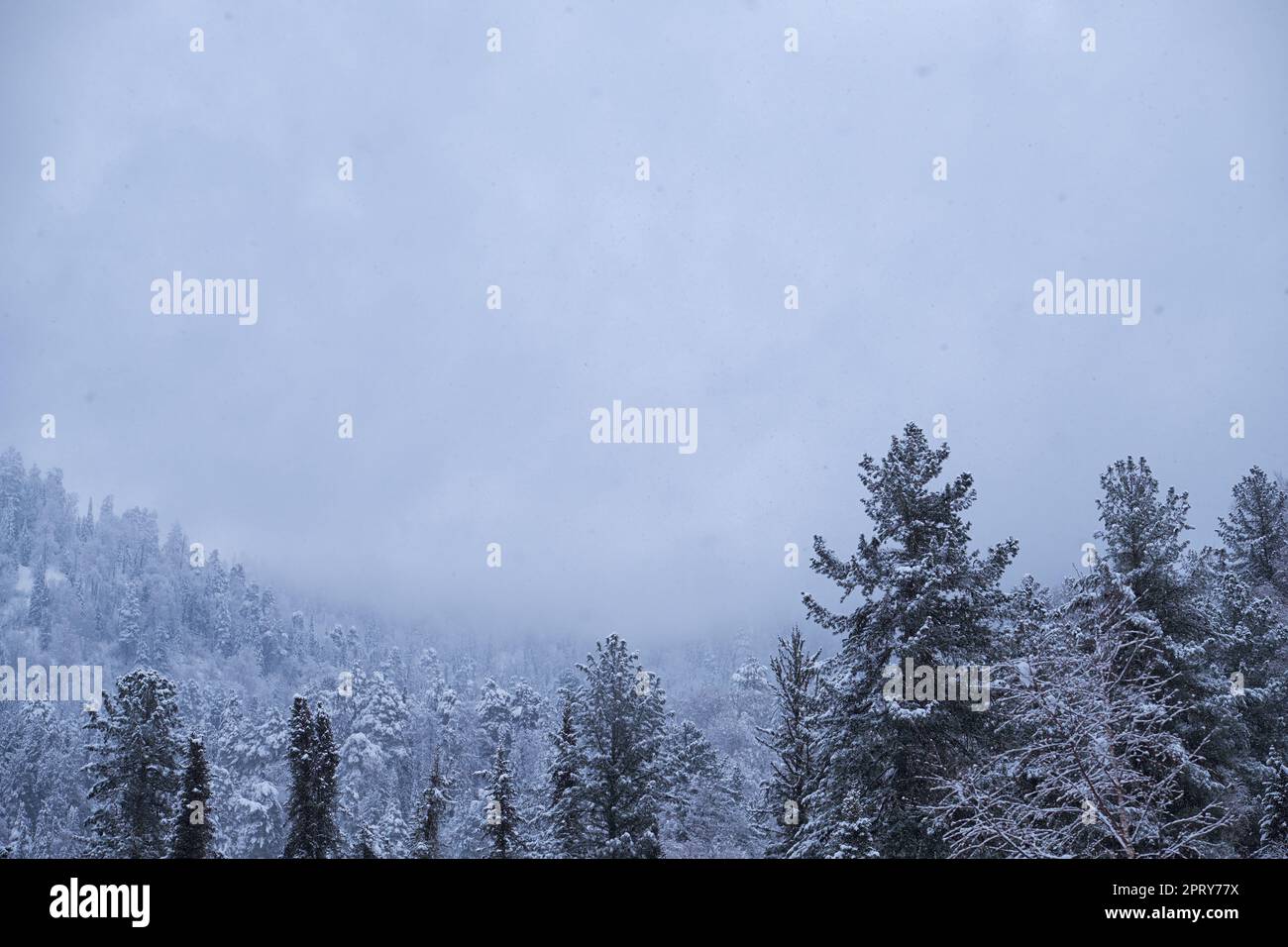 Heavy fog bank hi res stock photography and images Alamy
