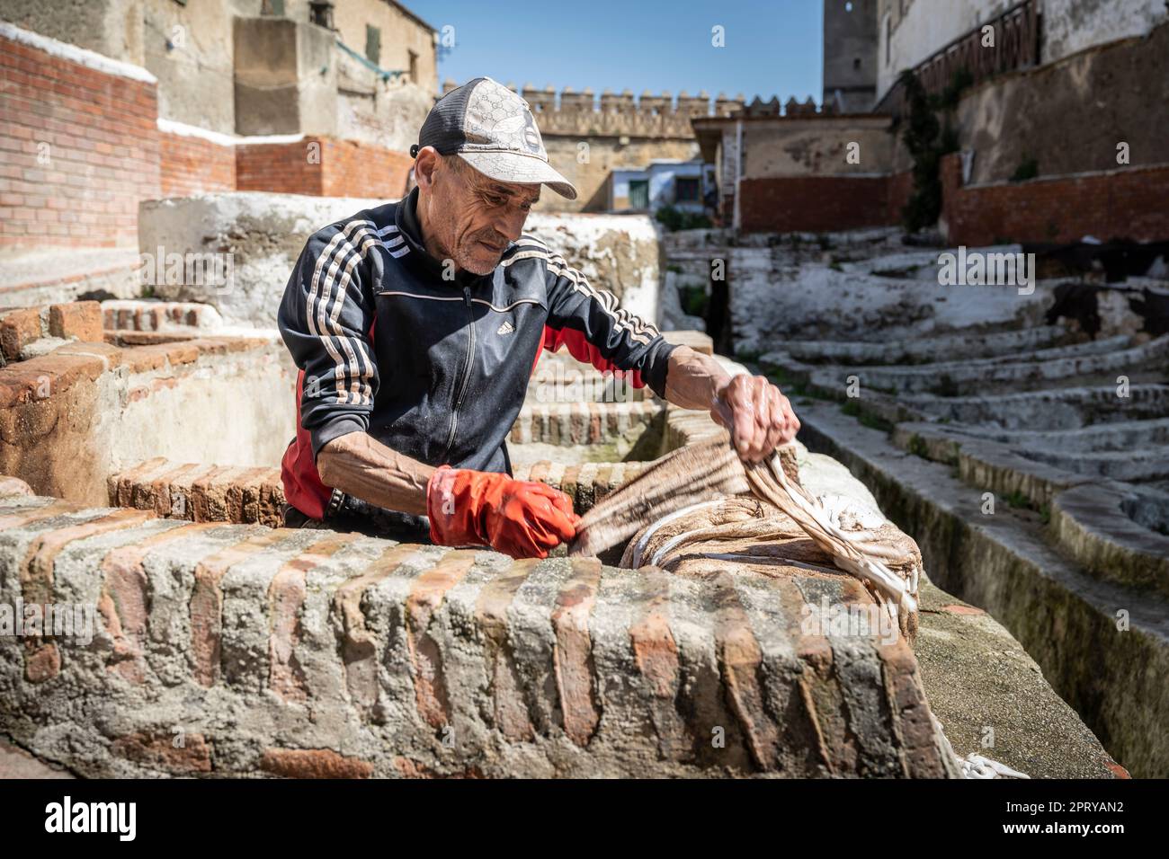 Worker in the tanneries of Tetouan handling skins inside a pool, for tanning. Stock Photo